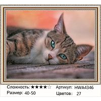 Алмазная мозаика Painting Diamond HWA4346, холст на подрамнике, круглые стразы, 40x50 см 