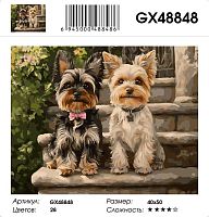 Картина по номерам Paintboy GX48848, холст на подрамнике, 40x50 см